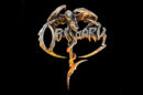 Novo CD do Obituary
